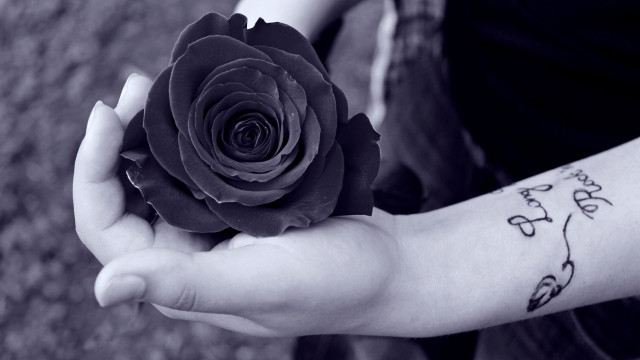Person holding flower tattoo arm free wallpaper for desktop - medium preview image