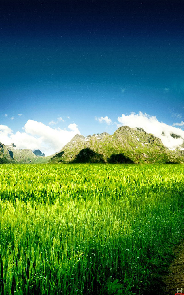 Dirt road green field mountains #3 free wallpaper for mobile - medium preview image