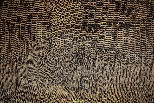 Close up textured surface green free wallpaper for desktop - medium preview image