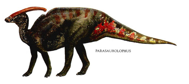 Dinosaur longneck longtail illustration sumatraism free wallpaper for desktop - medium preview image