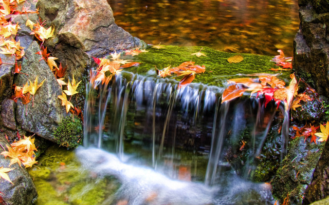 Waterfall fall leaves stream woods free wallpaper for desktop - medium preview image