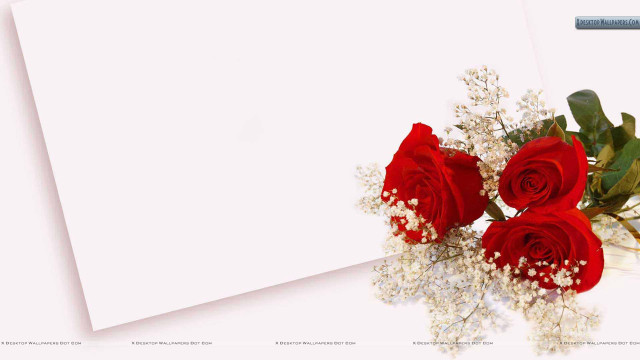 Red roses bouquet white paper #2 free wallpaper for desktop - medium preview image
