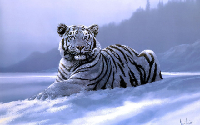 White tiger snow mountain foggy #2 free wallpaper for desktop - medium preview image