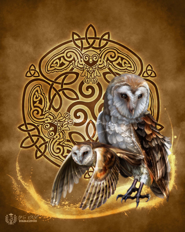 Owls branch celtic design gold free wallpaper for mobile - medium preview image