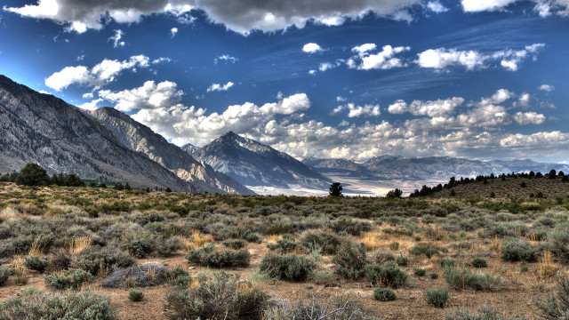 Mountain range clouds foreground bushes free wallpaper for desktop - medium preview image
