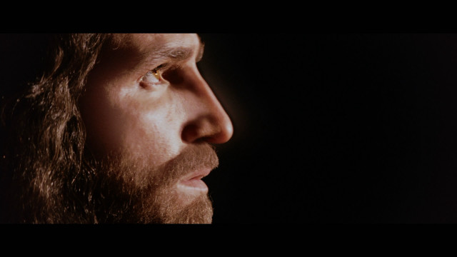 Man long hair beard light free wallpaper for desktop - medium preview image