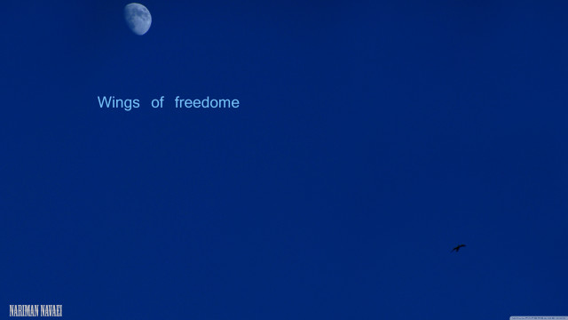 Bird moon sky flying quote free wallpaper for desktop - medium preview image