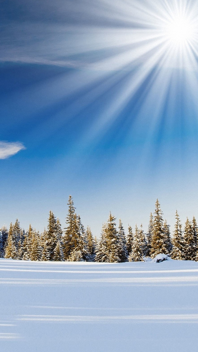 Skiing snowy field trees sun free wallpaper for mobile - medium preview image