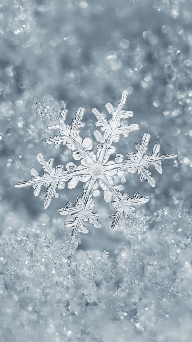 Snowflake ambient occlusion winter cherry free wallpaper for mobile - medium preview image
