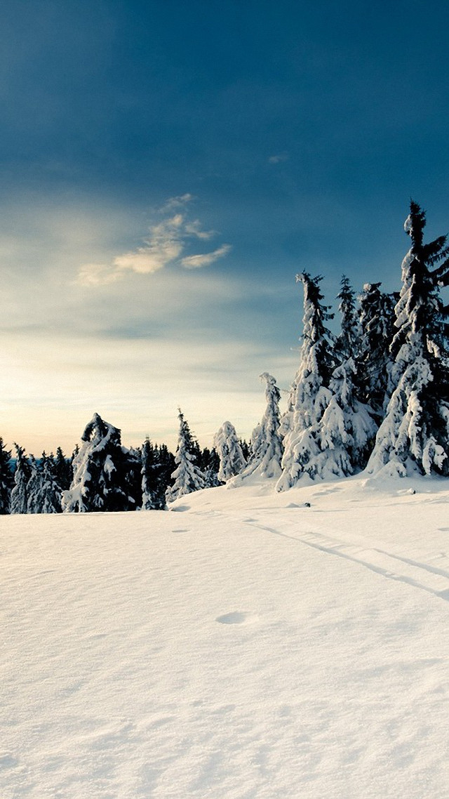 Skiing snowy trees clouds person free wallpaper for mobile - medium preview image