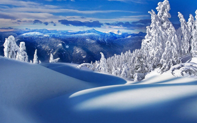 Snowy mountain trees background blue #7 free wallpaper for desktop - medium preview image