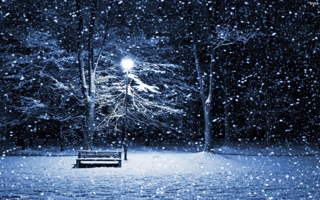 Snowy bench night streetlight magical free wallpaper for desktop - medium preview image
