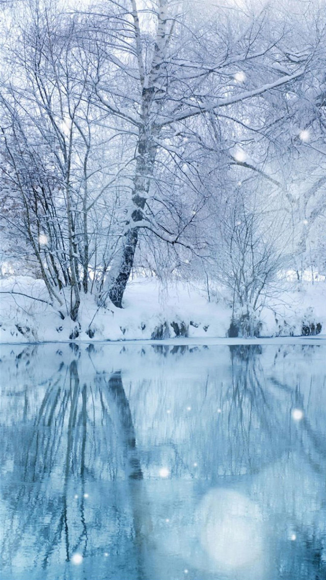 Snowy scene pond trees forest free wallpaper for mobile - medium preview image