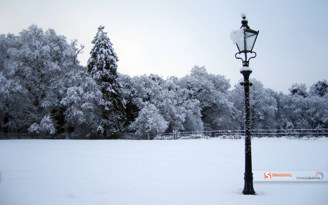 Street light snowy field trees free wallpaper for desktop - medium preview image