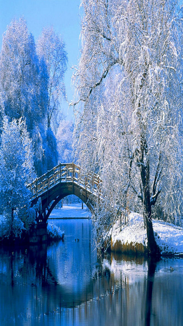 Bridge river snow covered tree #4 free wallpaper for mobile - medium preview image