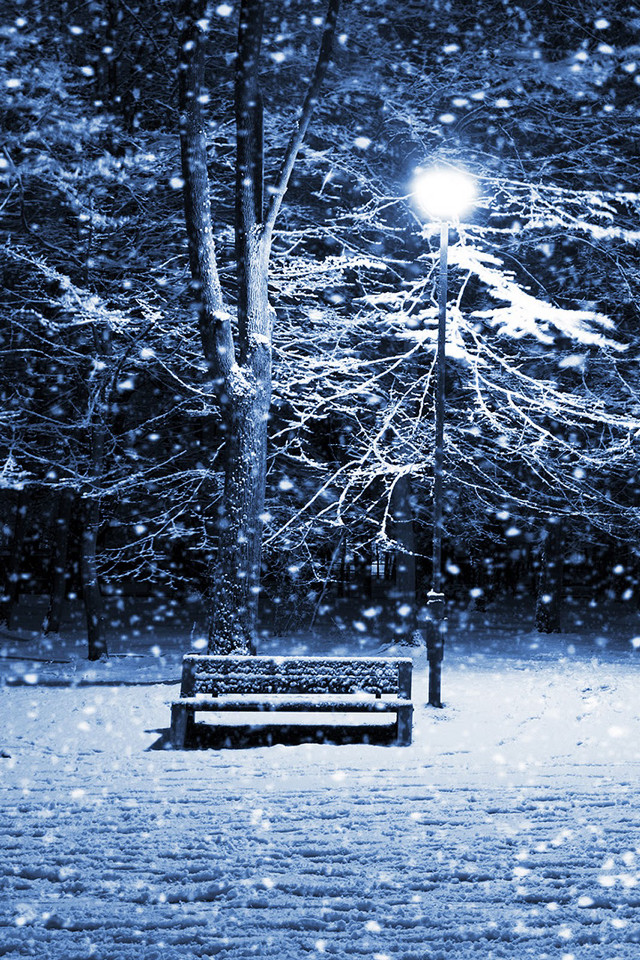 Bench park snow night streetlight free wallpaper for mobile - medium preview image