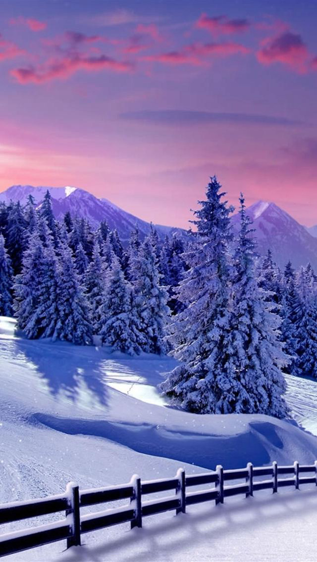 Snowy landscape fence trees pink free wallpaper for mobile - medium preview image