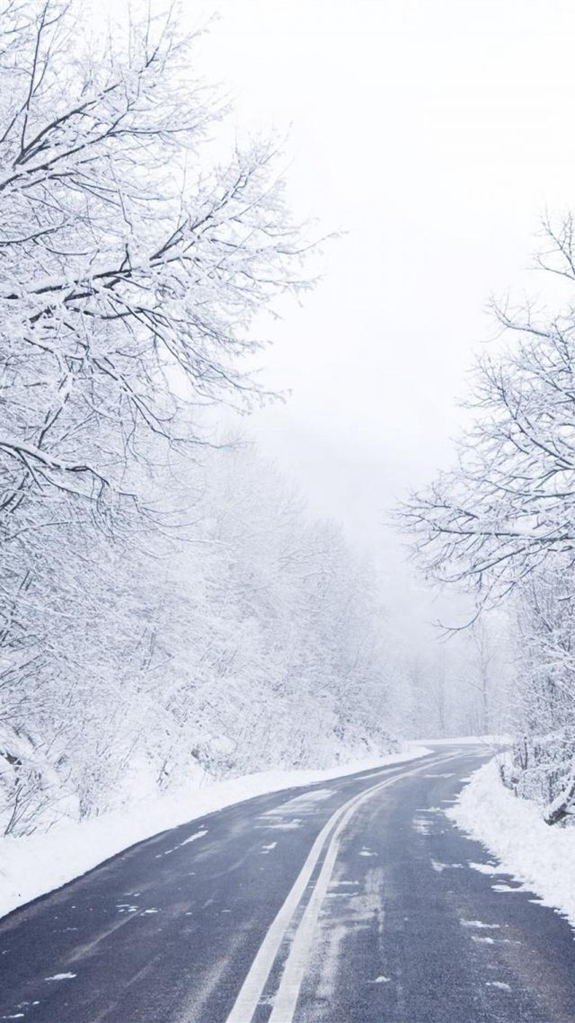 Snowy road with trees stop free wallpaper for mobile - medium preview image
