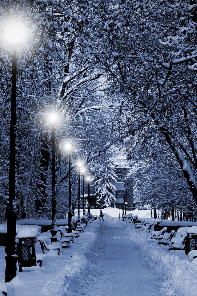 Snowy path bench streetlight clocktower free wallpaper for mobile - medium preview image
