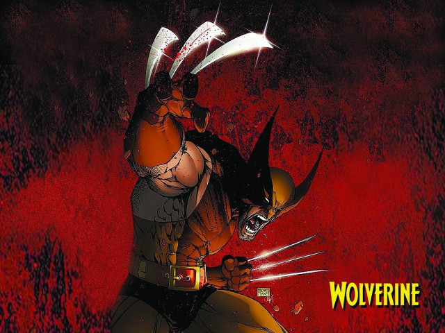 Wolverine character claws head chest free wallpaper for desktop - medium preview image