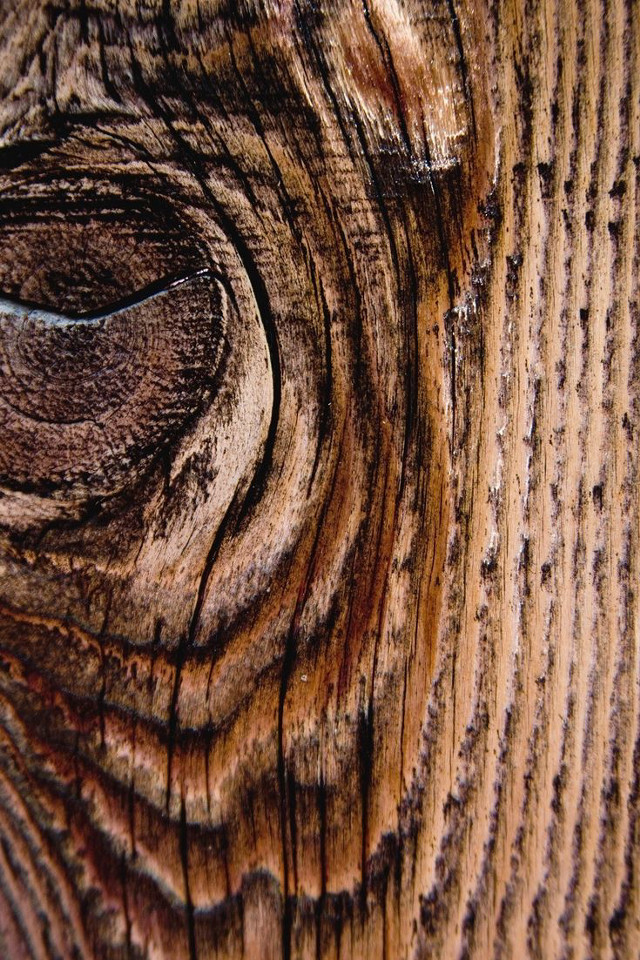 Wood texture closeup circular hole free wallpaper for mobile - medium preview image