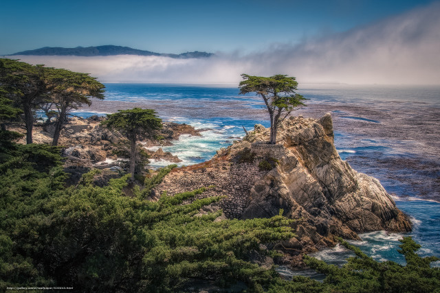 Tree rocky cliff ocean mountains free wallpaper for desktop - medium preview image