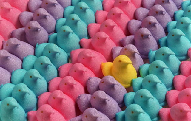 Yellow toy blue pink peepies free wallpaper for desktop - medium preview image