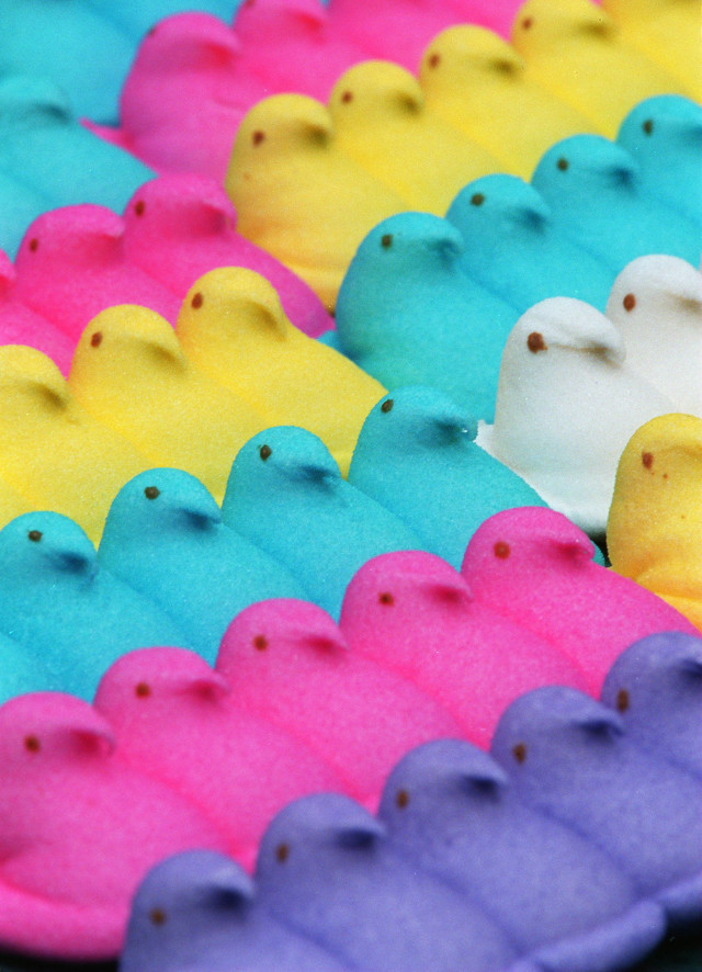 Rubber ducks colorful pink row free wallpaper for mobile - medium preview image