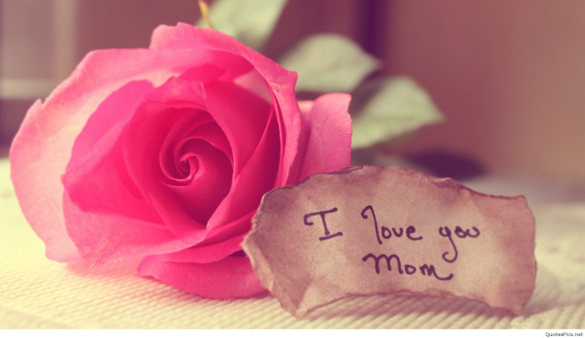 Pink rose i love you free wallpaper for desktop - medium preview image