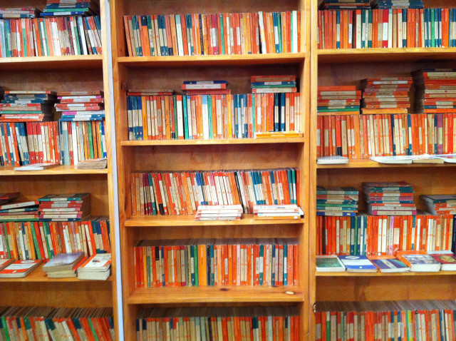 Bookshelf cat sitting floor books free wallpaper for desktop - medium preview image