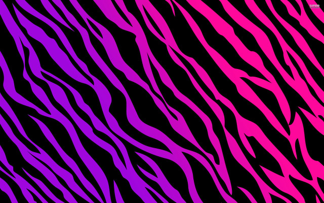 Zebra print black background pink #2 free wallpaper for desktop - medium preview image