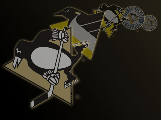 Hockey team logo skeleton holding free wallpaper for desktop - medium preview image