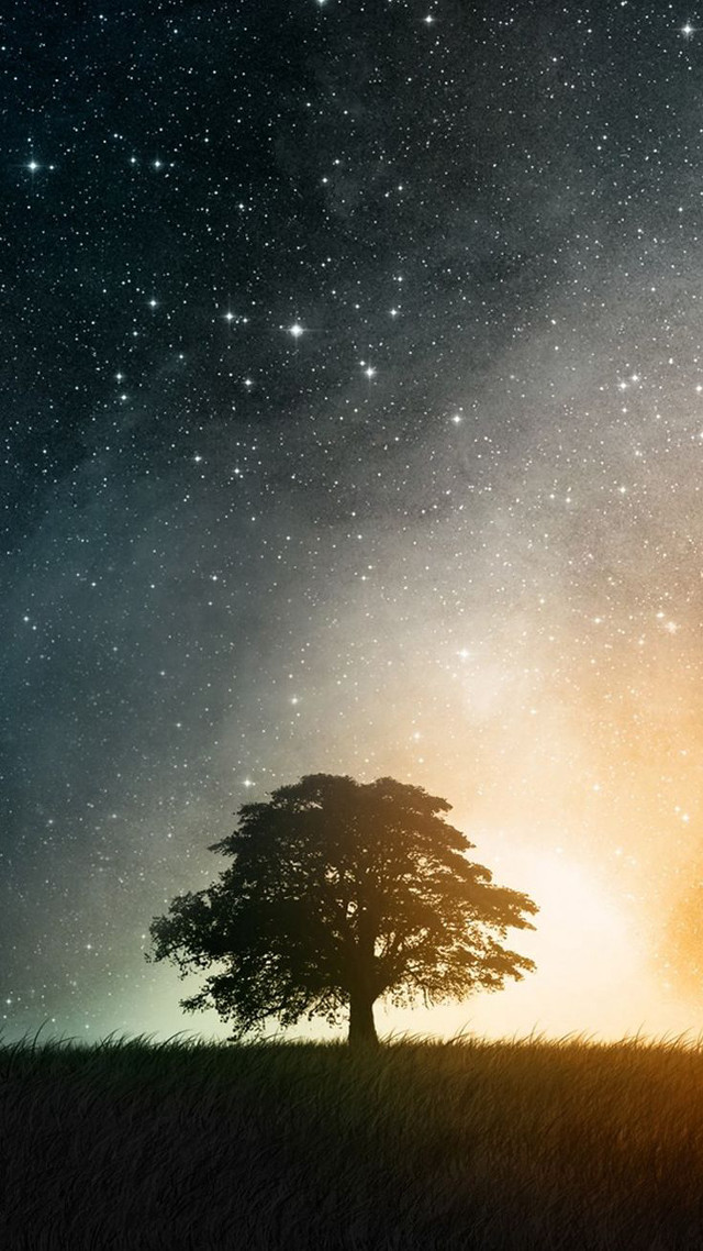 Lone tree night sky stars free wallpaper for mobile - medium preview image