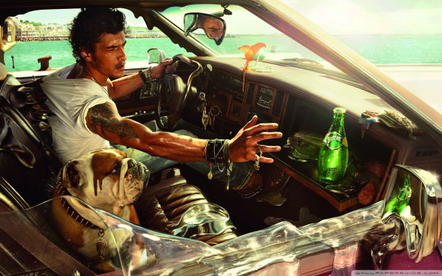 Man driving car dog passenger free wallpaper for desktop - medium preview image