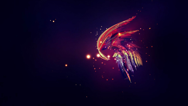 Colorful bird flying dark background free wallpaper for desktop - medium preview image