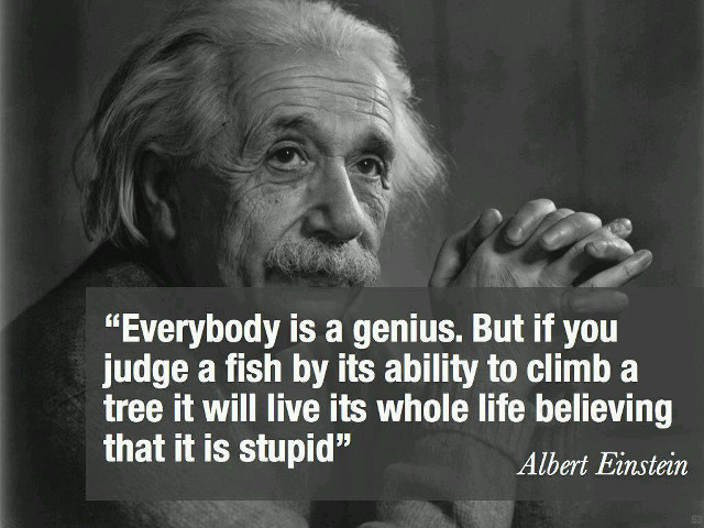 Albert einstein quote genius tree free wallpaper for desktop - medium preview image