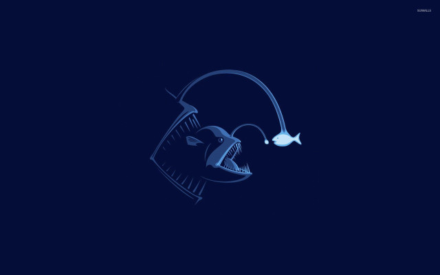 Blue drawing head light fish free wallpaper for desktop - medium preview image