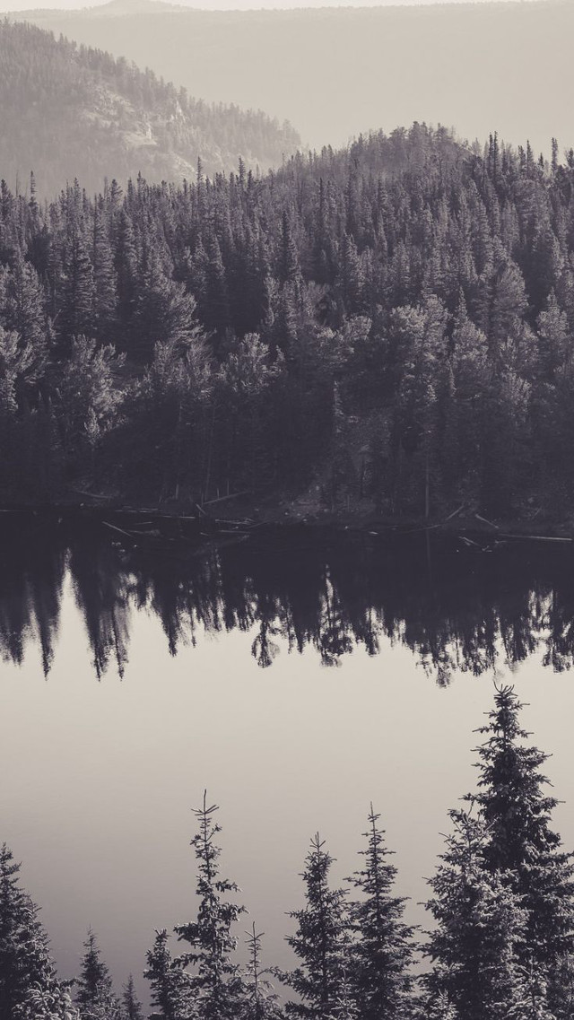 Lake trees mountains foggy sky free wallpaper for mobile - medium preview image