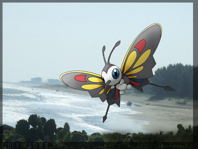 Cartoon butterfly beach ocean sky free wallpaper for desktop - medium preview image