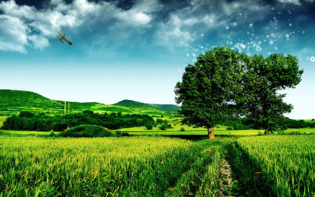 Plane over green field cloudy free wallpaper for desktop - medium preview image