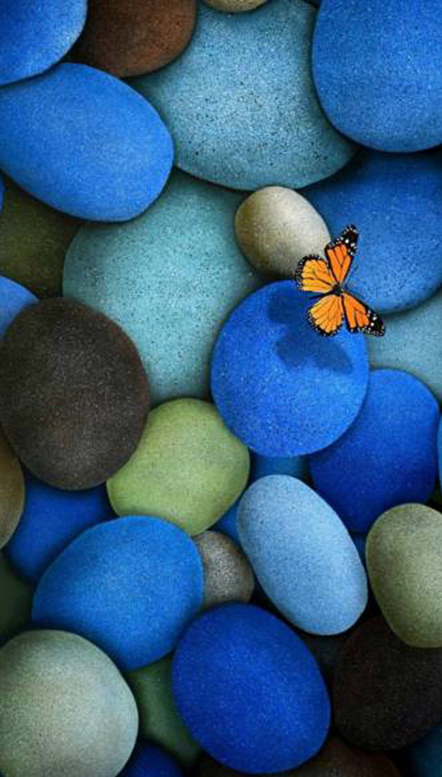 Butterfly sitting rock blue green #3 free wallpaper for mobile - medium preview image