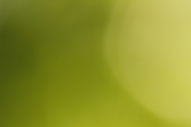 Green bird head right birds free wallpaper for desktop - medium preview image