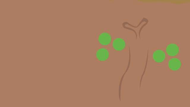 Tree green leaves brown background free wallpaper for desktop - medium preview image