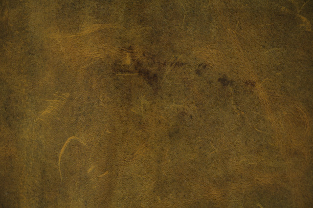 Brown background bird tree leaves free wallpaper for desktop - medium preview image