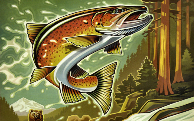 Jumping fish catching air bear free wallpaper for desktop - medium preview image