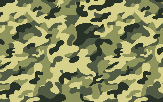 Camouflage green pattern similar image #2 free wallpaper for desktop - medium preview image