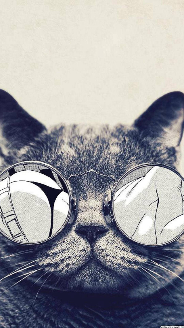 Cat glasses eyes closed surprised free wallpaper for mobile - medium preview image