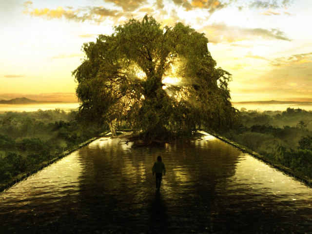 Man standing water tree middle free wallpaper for desktop - medium preview image