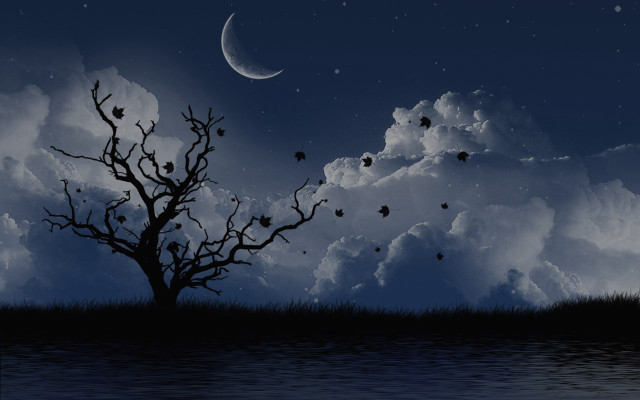 Tree field moon sky clouds free wallpaper for desktop - medium preview image