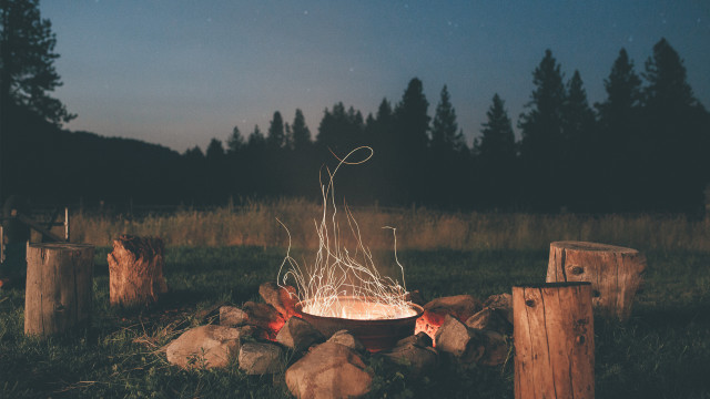Fire pit wire logs trees free wallpaper for desktop - medium preview image